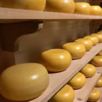 Crear una empresa en los Países Bajos